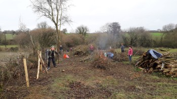 preparing for hedgelaying and fencing at West Coker Fen for the Somerset Wildlife Trust
