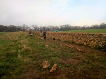The walling team on Ham Hill Country Park - one of our regular volunteer events